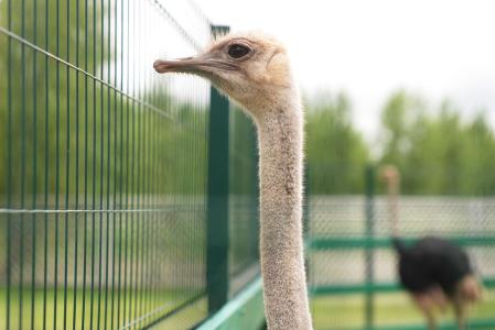 Акварель - 79