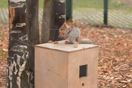 Акварель - 80