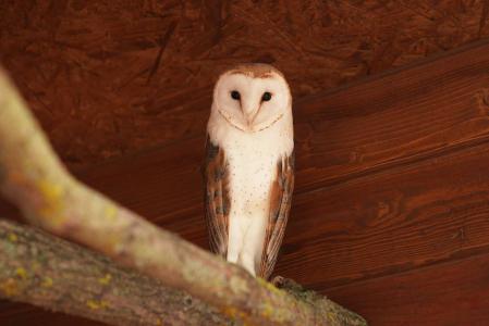 Акварель - 81