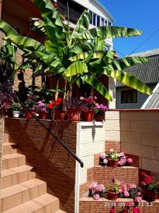 Гостевой дом у Татьяны и Владимира