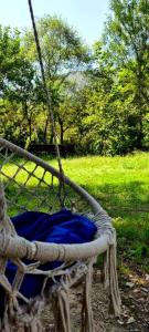 Старый Ясень - 1