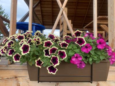 Мелодия Ольхона - 9