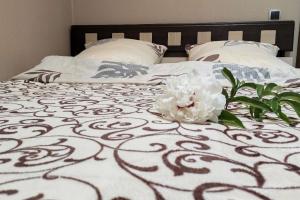 Гостевой дом «У мамы Светы», Несвиж