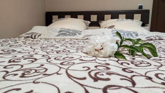 У мамы Светы - 0