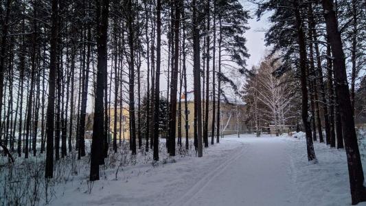 Детский пульмонологический санаторий - 0