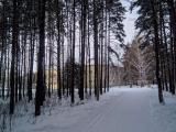 Номер Стандарт