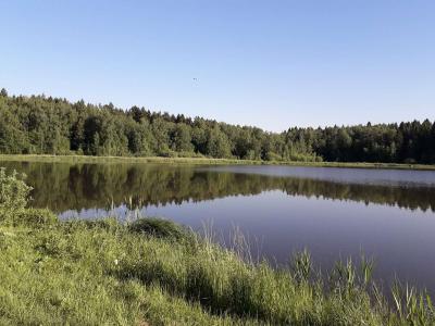 Аксаковские Зори - 1