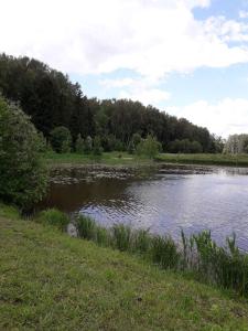 Аксаковские Зори - 2