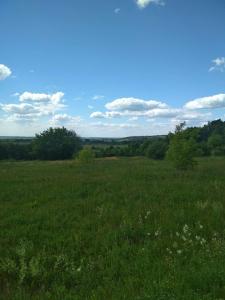 Санаторий Борисовский - 8