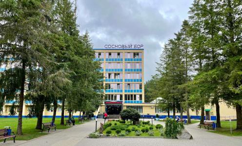 Сосновый бор - 1