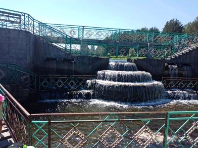 Сосновый бор - 2