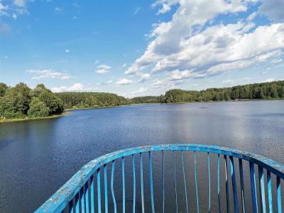 Сосновый бор - 3