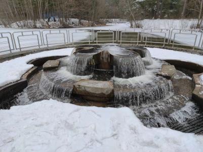 Сосновый бор - 4