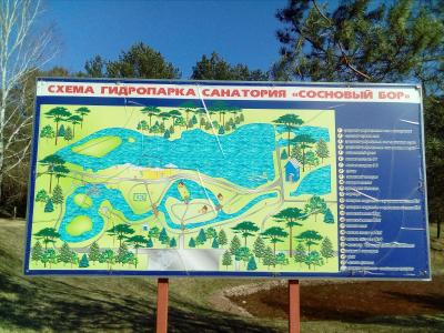 Сосновый бор - 5