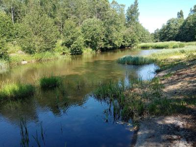 Сосновый бор - 7