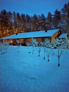 Сосновый бор - 8