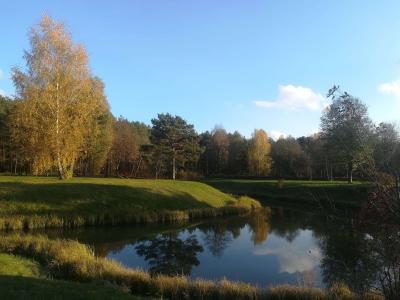 Сосновый бор - 9