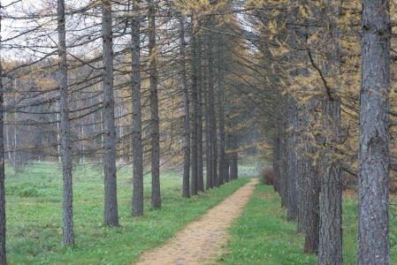 Загорские Дали - 6