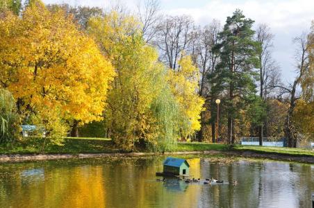 Загорские Дали - 7