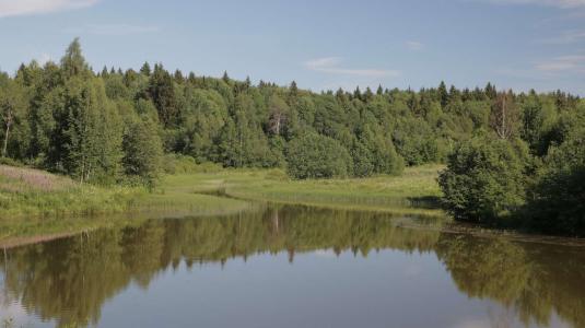 Загорские Дали - 8