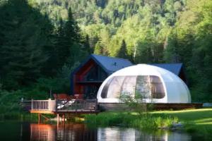 Forest Glamp