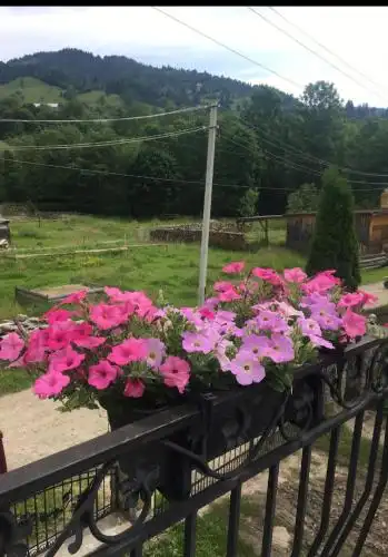 Садиба Черемош в Криворівні - 19