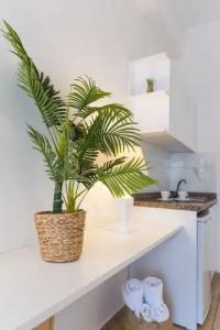 Mirage Studios - 163