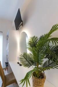 Mirage Studios - 162