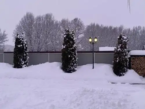 Дом с бассейном - 11