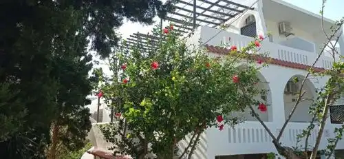Afroditi - 44