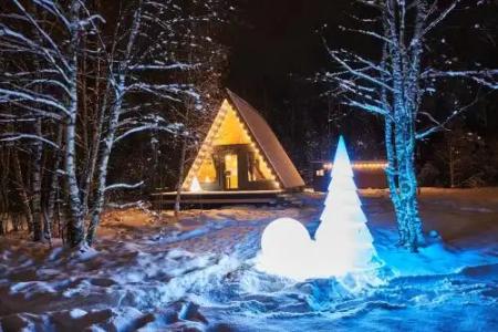 Коттедж A-frame на участке 20 соток - 0