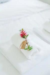 Mariya Art Living - 89