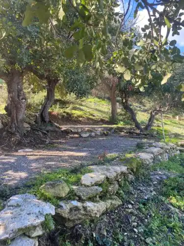 Aphrodite Family Eco Camping - 15