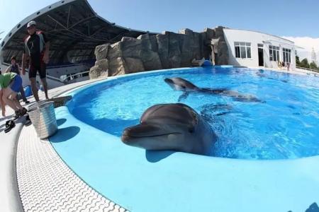 Уралочка - 12