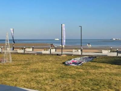 Selena Bay Resort - 91