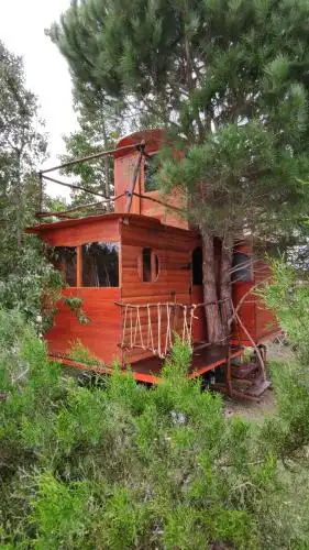 Luna treehouse - 0