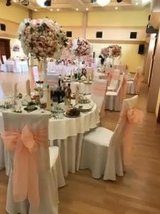 Красная гвоздика - 14