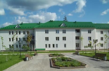 Красная гвоздика - 0