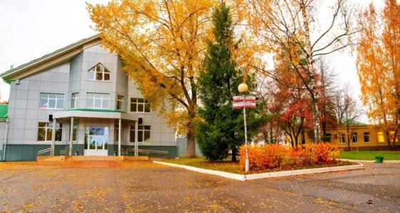 Красная гвоздика - 16