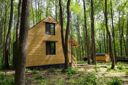 Золотой фазан - 11