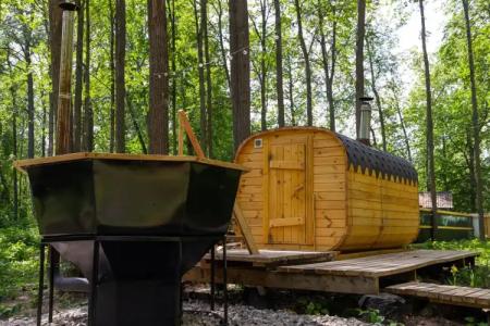 Золотой фазан - 12