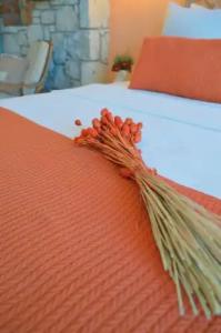 Rijeka Alaçatı - 61