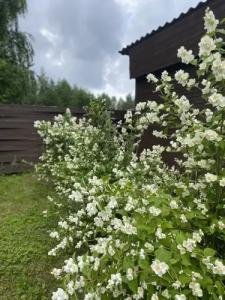 Частный дом - 28