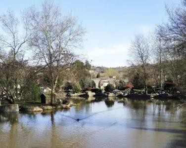 Doga Tatil Koyu - 14