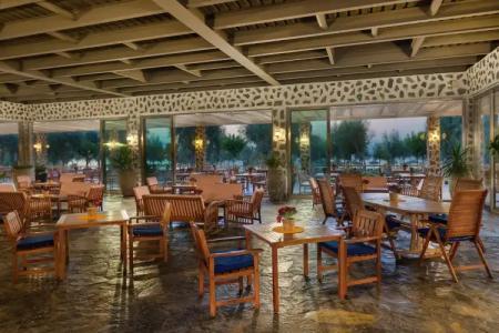 Noah's Ark Deluxe & Spa - 29