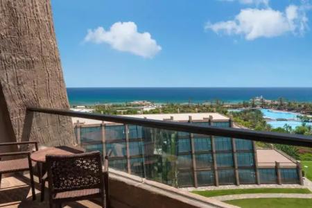 Noah's Ark Deluxe & Spa - 46