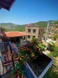 Qekik Boutique Kazdaglari - 38