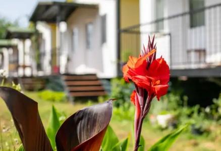 Gulsum Hanim Evleri - 10