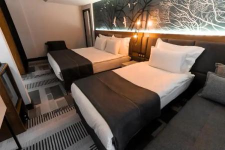 Oksijen Zone Hotels Uludag - 25