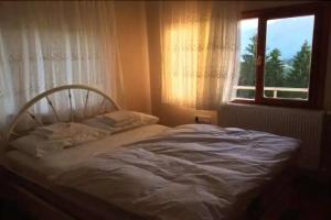 Sapart Hotel, Чамлыхемшин